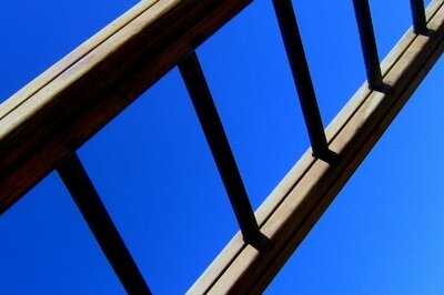 Process Manufacturing ERP and GMP - Ladder