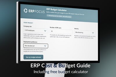 ERP cost and budget - piles of coins