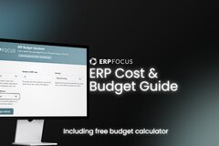 ERP cost and budget - piles of coins